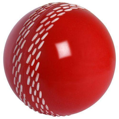 Gray Nicolls Velocity Red Cricket Ball Youths