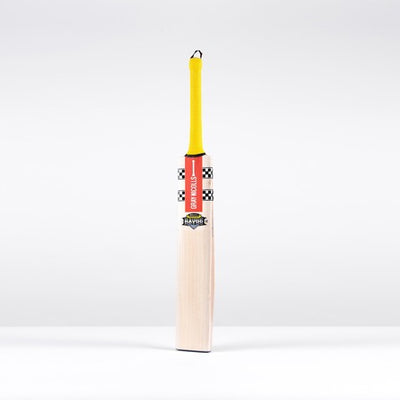Gray Nicolls Havoc HB317 GN330+ PP Junior