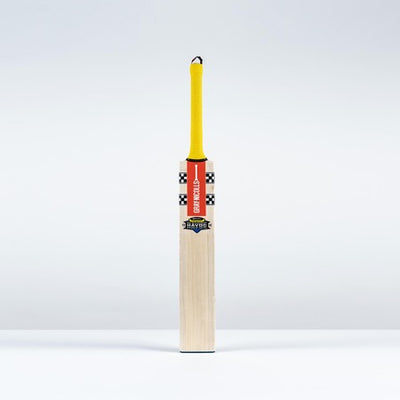 Gray Nicolls Havoc HB317 GN330+ PP Junior