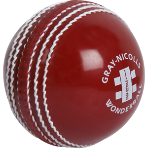 Gray Nicolls Wonderball Jnr
