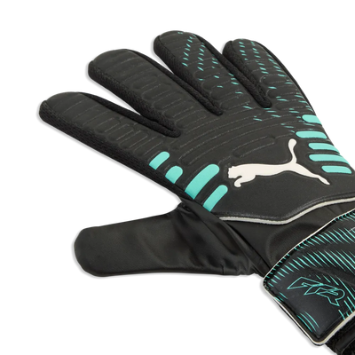 Puma Future Play NC Goalkeeper Gloves